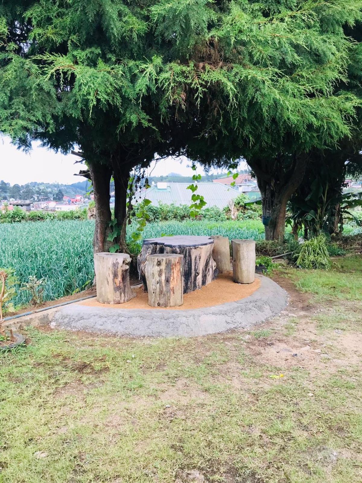 Silver Meir Bungalow Nuwara Eliya Bagian luar foto